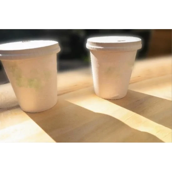 Paper Cup Sip Lids 80mm for 8/9oz Hot/12oz Max Vending Paper cup (1000) Paper Cup Sip Lids 80mm for 8/9oz Hot/12oz Max Vending Paper cup (1000)